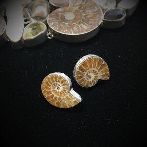 Ammonite Fossil Sterling Silver Post Earrings
